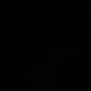 Meet your Posher, Joshua